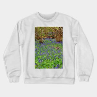 Bluebell Woods Basildon Park Reading UK Crewneck Sweatshirt